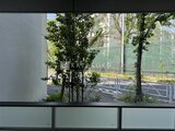 エスレジデンス駒場東大前 緑に囲まれた明るいバルコニーから見た前面道路の景観