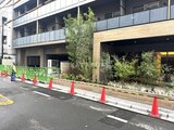 ブランシエスタ入谷グランデ 建物エントランス前の植栽が配置された開放的なアプローチ