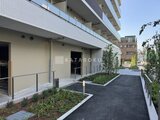 パークアクシス住吉ガーデンスクエア 植栽が配置されたアプローチから見た建物エントランス