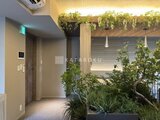 パークアクシス住吉ガーデンスクエア エレベーターホール前の緑化空間、グリーンウォールと植栽が調和