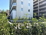 パークアクシス住吉ガーデンスクエア 緑に囲まれた開放的な共用庭園スペース