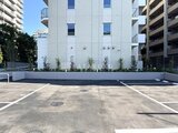 パークアクシス住吉ガーデンスクエア 白を基調とした建物前の駐車場と緑化帯の様子