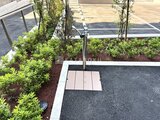 パークアクシス住吉ガーデンスクエア 緑の植栽と舗装が調和した共用庭園スペース
