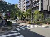 ザ・パークハビオSOHO新宿御苑 緑豊かな街路樹のある開放的なエントランスアプローチ