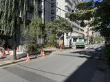 ザ・パークハビオSOHO新宿御苑 緑に囲まれた静かな街路から見た建物外観と周辺環境