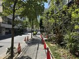 ザ・パークハビオSOHO新宿御苑 緑豊かな街路樹に囲まれた開放的なエントランスアプローチ