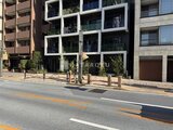 ES-Grande錦糸町ザ・クラス 街路樹と緑化帯に囲まれたモダンな建物外観