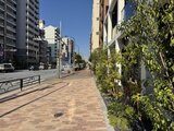 ES-Grande錦糸町ザ・クラス 緑に彩られた開放的な歩道から見た街並みの様子