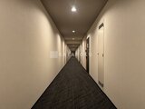 ドゥーエ銀座イースト3 均等な照明と落ち着いたトーンの共用廊下