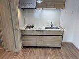 ドゥーエ銀座イースト3 モダンな木調パネルの対面キッチン、コンロとシンク完備