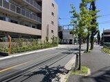アーバンパーク船堀2 前面道路から見た建物外観と街路樹のある開放的な周辺環境