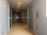 ドゥーエ曳舟3 落ち着いた色調の共用廊下にエレベーターと複数の住戸が並ぶ様子