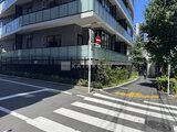 パークアクシス五反田スカイタワー 横断歩道から見たモダンな建物の外観と街路樹が映る風景
