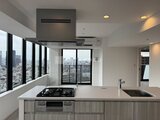 パークアクシス五反田スカイタワー 開放的な窓から都市風景を望むモダンなシステムキッチン