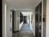 エルファーロ目黒3 複数の黒いドア配置が印象的な廊下空間の奥行き感