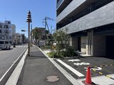 ラグゼナ船堀 街路樹のある前面道路から見た建物エントランス