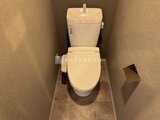 スタイリオ東品川 ウォシュレット付きトイレと落ち着いた色合いの壁面