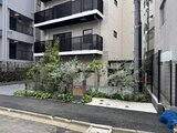コンフォリア・リヴ駒込西ヶ原 モダンな外観と緑を活かしたエントランスアプローチの様子