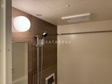 コンフォリア・リヴ駒込西ヶ原 木目調の壁と丸型照明が落ち着いた雰囲気のバスルーム