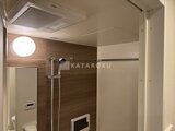 コンフォリア・リヴ駒込西ヶ原 木目調パネルと円形照明がモダンなシャワー室