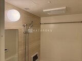 コンフォリア・リヴ駒込西ヶ原 ライトと浴室乾燥機付きの明るいバスルーム