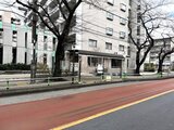 コンフォリア高島平 街路樹と建物に囲まれた落ち着いた雰囲気の建物外観