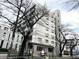 コンフォリア高島平 落ち着いた印象の中層マンション建物と前面の大きな樹木