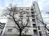 コンフォリア高島平 冬木立を背景にした落ち着いた印象のマンション外観