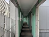 コンフォリア高島平 緑色の壁面が印象的な共用廊下の奥行きある様子