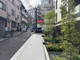 エクサム赤坂 緑が映える静かな路地から見た建物外観