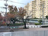 グランパセオ三宿2 建物前の落ち着いた雰囲気の広場と秋の樹木が見える周辺環境