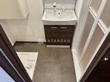 RAMIi板橋大和町 濃い色の洗面化粧台と広めの脱衣所スペース
