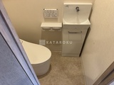 グランクレイエル両国 トイレと手洗いカウンターが一体となったコンパクトな空間