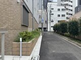ラヴィエール新板橋 建物前の落ち着いた雰囲気の路地と緑が調和する外観