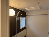 ラヴィエール新板橋 シャワールームの浴室側を見た落ち着いた色合いの空間
