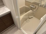 ラヴィエール新板橋 清潔感のあるシャワーブース付きの浴室