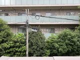 ウェルスクエア渋谷本町 1DK・1LDK