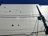 フラット富久町 外観