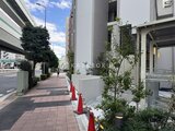 クレストコート王子 建物前のアプローチから見た、緑を配した落ち着きのある外観