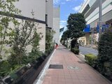 クレストコート王子 緑に囲まれた開放的なアプローチ通路