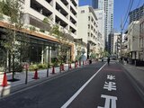 ザ・パークハビオ白金高輪 前面道路から見た建物と緑の多い周辺環境