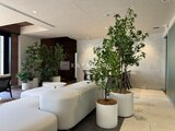 ザ・パークハビオ白金高輪 観葉植物を配置した開放的なエントランスロビー