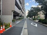 ヴィラクレール巣鴨 建物前の通りから見た、落ち着いた雰囲気の外観と街路樹