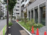 テラス神田猿楽町 緑を配置したモダンなエントランスアプローチの様子