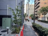 アーバネックス日本橋水天宮前 緑を取り入れた開放的な共用通路の様子
