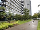 シティタワーズ東京ベイ 緑豊かな公園空間と高層住宅棟が調和した敷地全景