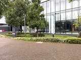 シティタワーズ東京ベイ 緑に囲まれた庭園から見たモダンな建物のエントランス