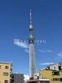 ブライト本所 物件周辺から見たスカイツリーと青空の風景