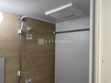 デュオメゾン西新宿 木目調パネルの落ち着いた浴室、機能的なシャワーヘッド付き