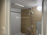 デュオメゾン西新宿 木目調パネル張りの明るいシャワールーム